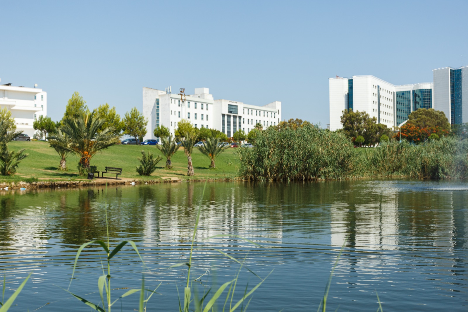 Кампус Near East University в Никосии